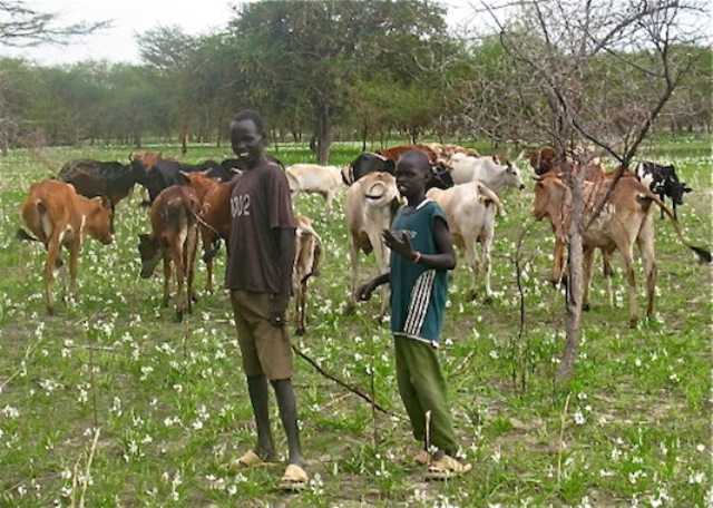 دولة جنوب السودان تنفي ضلوع أفراد من جيشها في القتال بـ «أبيي»