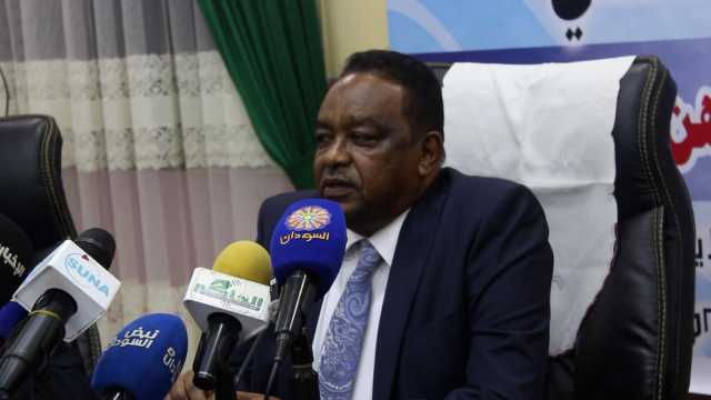 السودان .. محافظ مشروع الجزيرة يعلن خطة لزراعة 50 ألف فدان للعروة الصيفية