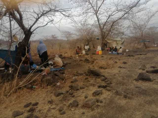 البحث عن الأمان: معاناة اللاجئين السودانيين في غابات الأولالا الإثيوبية