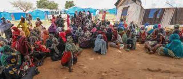 بعد زيادة أعداد اللاجئين .. المفوضية السامية تعلن توسيع خطتها لمساعدة السودانيين