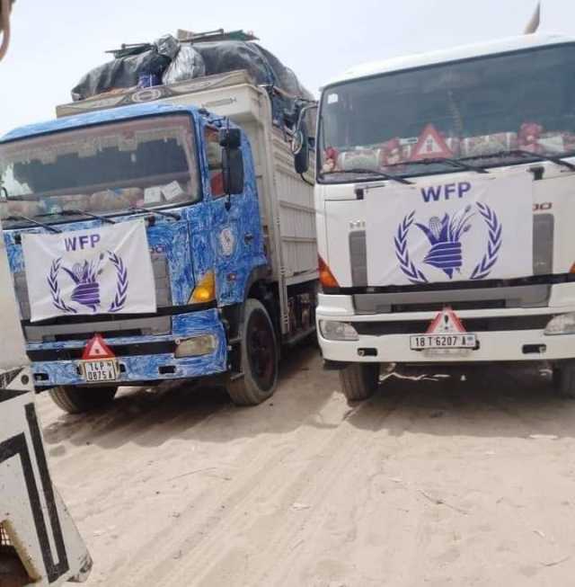 Relief convoeys reach Darfur from Chad