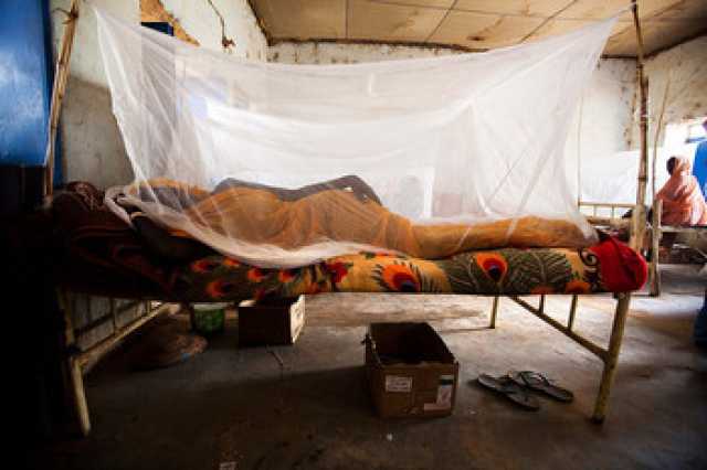 خلال «15» يوماً .. «488» حالة بحمى الضنك في شمال دارفور