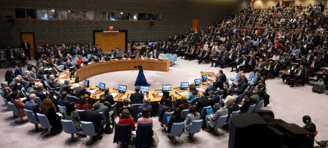 «لا إجماع» في مجلس الأمن بشأن عضوية فلسطين في الأمم المتحدة