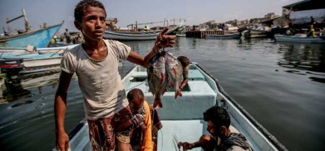 فتح موسم اصطياد الحبار في البحر الأحمر