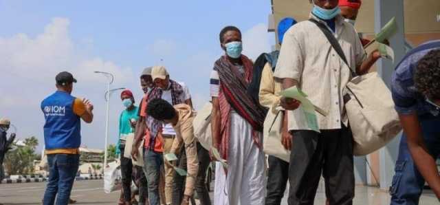 الهجرة الدولية: أكثر من 97 مهاجرا أفريقيا وصلوا اليمن خلال 2023
