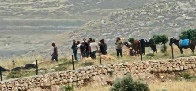 قطعان المستوطنين يهاجمون المواطنين الفلسطينيين قرب المغير شرق رام الله