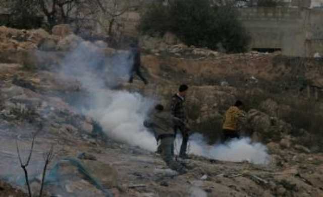 مستوطنون يحرقون 15 دونما من محصول القمح في سبسطية غرب نابلس