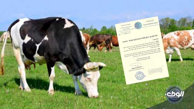 تعليمات عاجلة لوقف حركة نقل الأبقار بسبب اشتباه في مرض التهاب الجلد العقدي