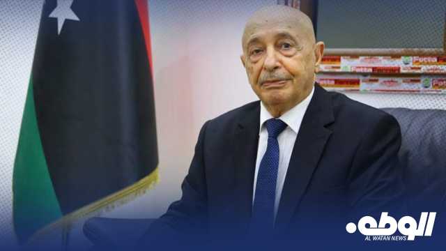 المستشار صالح يكشف عن جولة جديدة من المشاورات بين رؤساء المجالس الثلاثة في القاهرة