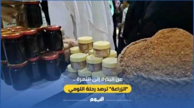 فيديو| من البذرة إلى الثمرة.. 'الزراعة' ترصد رحلة اللومي