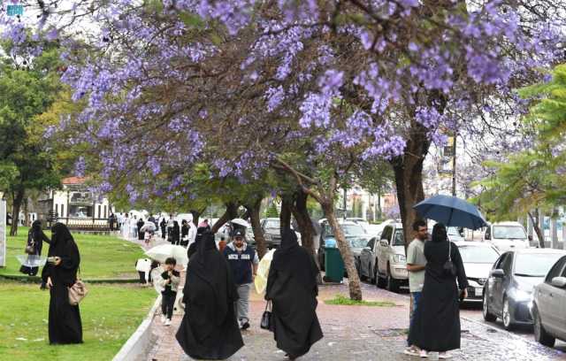 الأرصاد لـ 'اليوم': تحسن تدريجي لطقس المملكة.. والربيع يتزامن مع رمضان