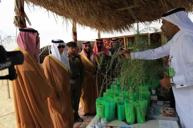 لتعزيز الوعي البيئي.. ورش عمل وحملات تشجير في مخيم الدمام التوعوي