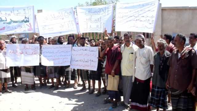 لحج: احتجاجات لمزارعي طور الباحة ضد حكم قضائي بتوقيف أراضيهم الخاصة