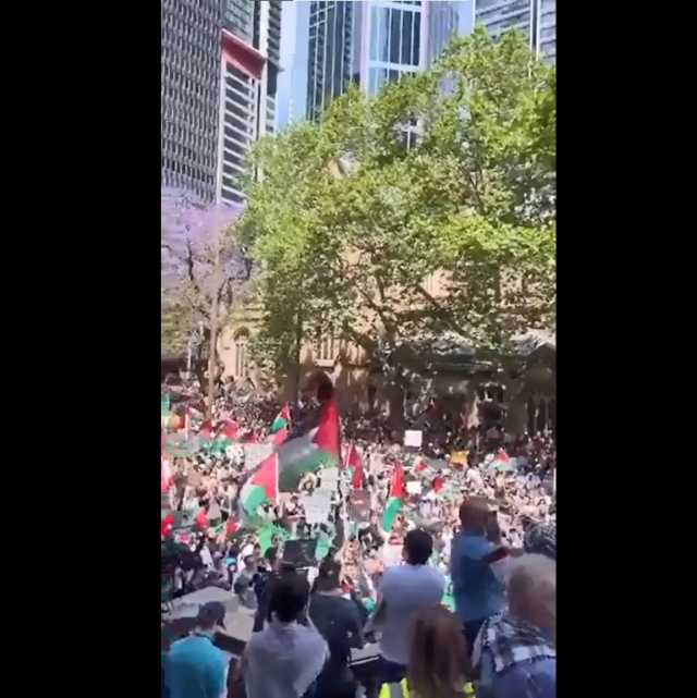 “فلسطين لن تموت أبداً”.. الآلاف في أستراليا يتظاهرون ضد المجازر التي يرتكبها الاحتلال بغزة (فيديو)
