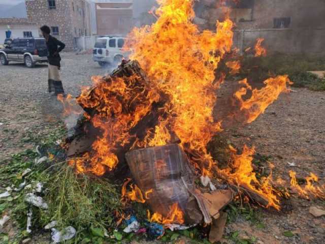 شاهد: إحراق كميات كبيرة من ”القات” في محافظة سقطرى اليمنية بعد قرار بمنع دخولها