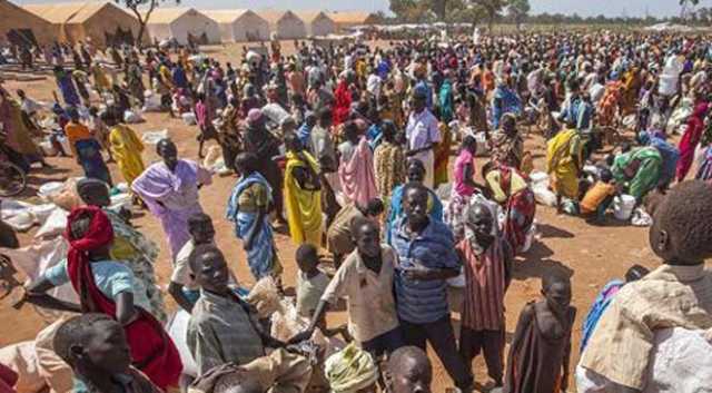 يطعمون أطفالهم الحشرات.. مأساة تضرب نازحي السودان