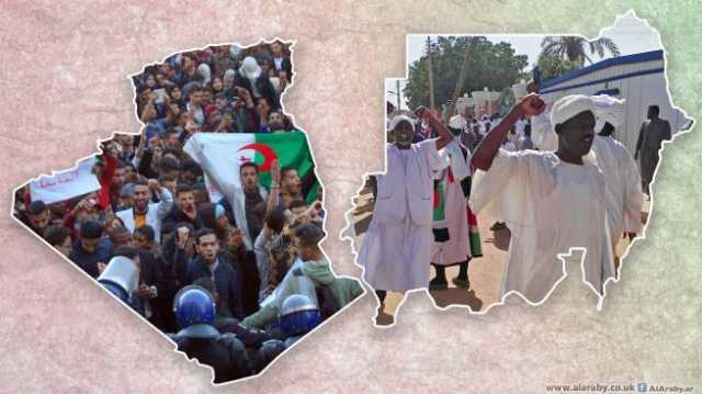 ماذا قالت سفيرة السودان في الجزائر؟ الذِّكرَى الستين لتأسيسِ العلاقات الدبلوماسية السودانية الجزائرية