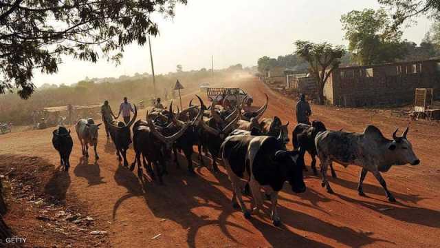 كاردينال يترأس قداساً في جنوب السودان لأجل السلام والمصالحة