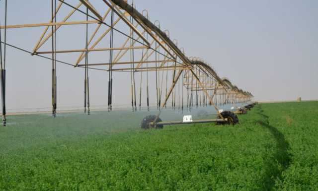 حسام زكي: حرب السودان ضربة كبيرة للإنتاج الزراعي في العالم العربي