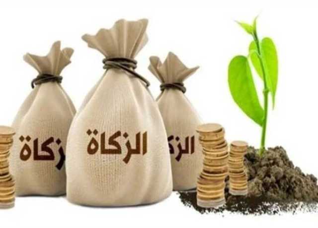 ما قيمة زكاة الفطر وفدية الصيام؟.. «الإفتاء» توضح