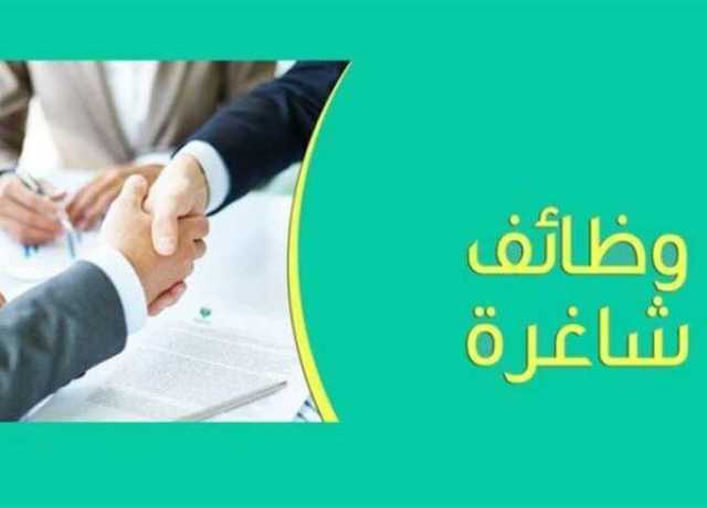 الشباب والرياضة توفر وظائف شاغرة.. التخصصات والمميزات والشروط المطلوبة