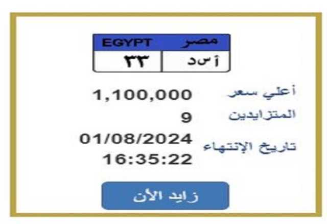 «أ س د 33».. لوحة سيارة مميزة يصل سعرها لـ مليون و100 ألف جنيه