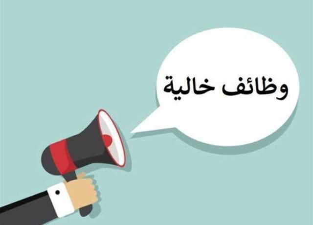 وظائف بمختلف التخصصات.. الشباب والرياضة توفر فرص عمل جديدة