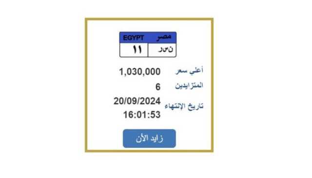 وصل سعرها لـ مليون جنيه.. مزايدة على لوحة سيارة مميزة «ن س ر 11»