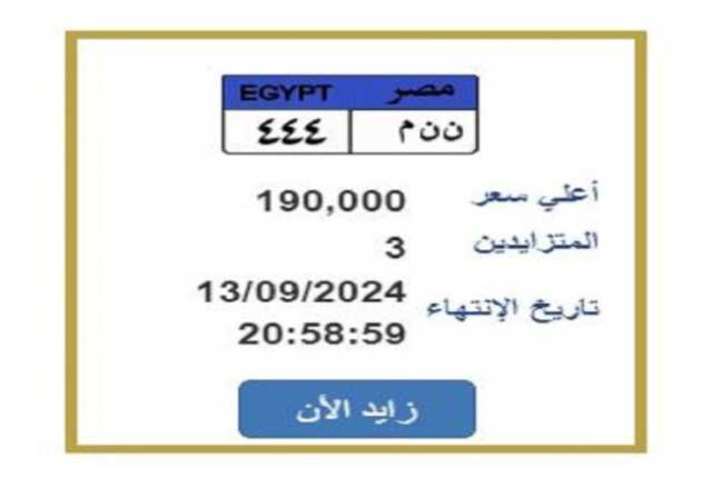 «ن ن م 444».. التزايد على لوحة معدنية مميزة لـ السيارات بسعر 190 ألف جنيها