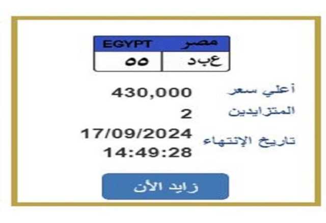 «ع ب د 55».. مزايدة على لوحة سيارة مميزة بقيمة 430 ألف جنيه