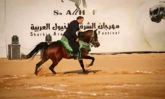 إعلان جوائز الفائزين فى مسابقة تراث أدب الخيل بمهرجان الشرقية للخيول العربية