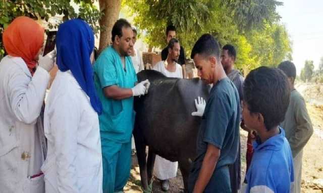 فحص وعلاج 1479 من الماشية ضمن قوافل بيطرية بأسوان