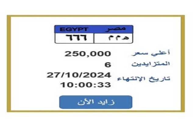 سعرها 250 ألف جنيه.. مزايدة على لوحة سيارة مميزة تحمل رقم «ه م م 666»