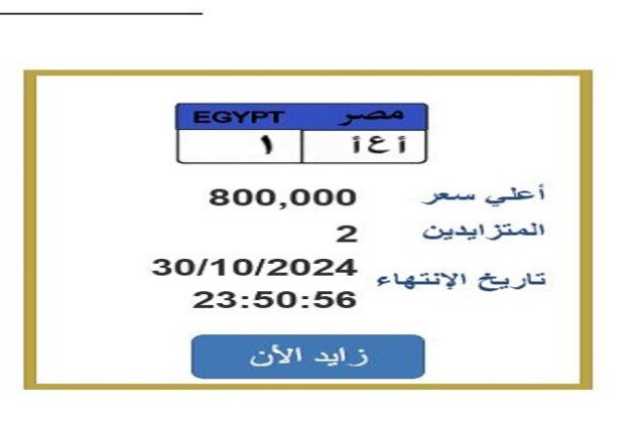 سعرها 800 ألف جنيه.. المزايدة على لوحة سيارة مميزة برقم «أ ع أ 1»