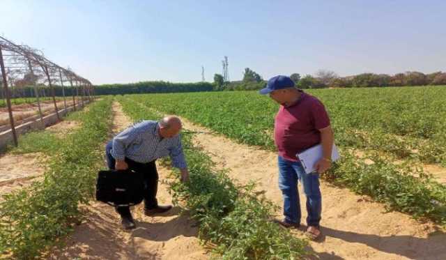 توزيع 54 ألف طن أسمدة على المزارعين بالمنوفية