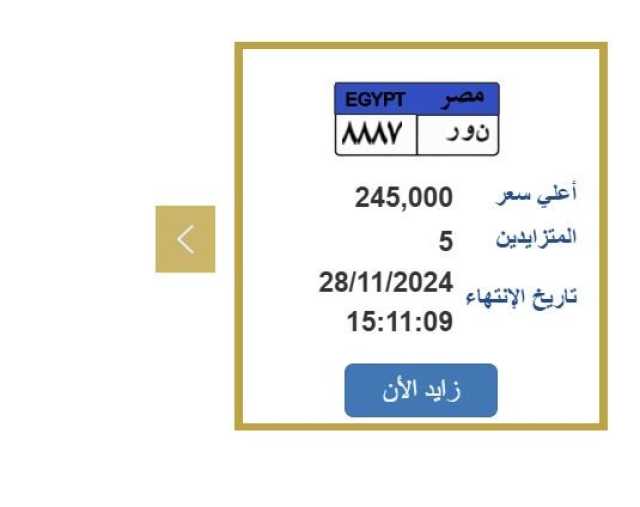 بسعر مميز.. التزايد على لوحة السيارة «ن و ر 8887» ينتهي بعد ساعات