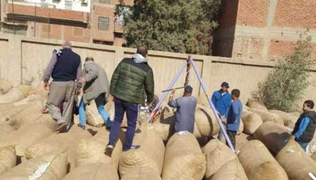 المنوفية تتجاوز 12 ألف جوال من القطن.. دعم للاقتصاد القومي