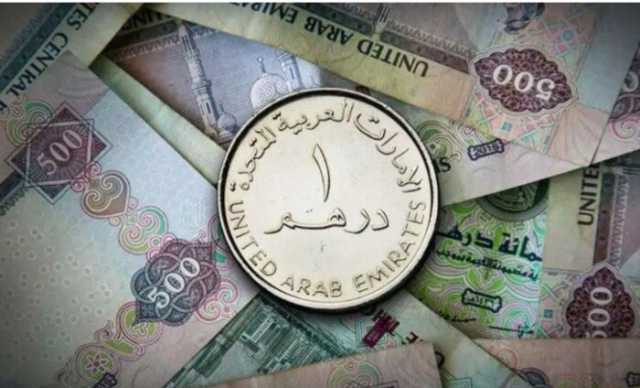 سعر الدرهم الإماراتي مقابل الجنيه المصري اليوم الإثنين 20 يناير 2025