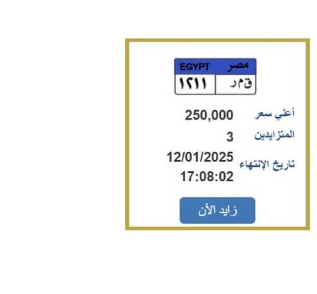 «ق م ر 1211».. لوحة سيارة مميزة وصل سعرها لربع مليون جنيه