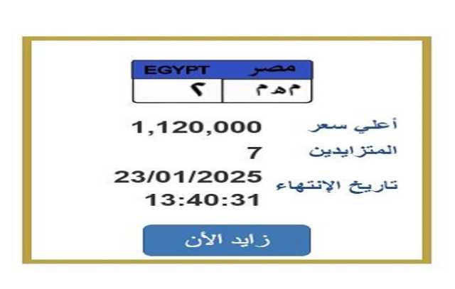 وصل سعرها لـ مليون و120 ألف جنيه.. التزايد يشتعل على لوحة سيارة مميزة «تفاصيل»