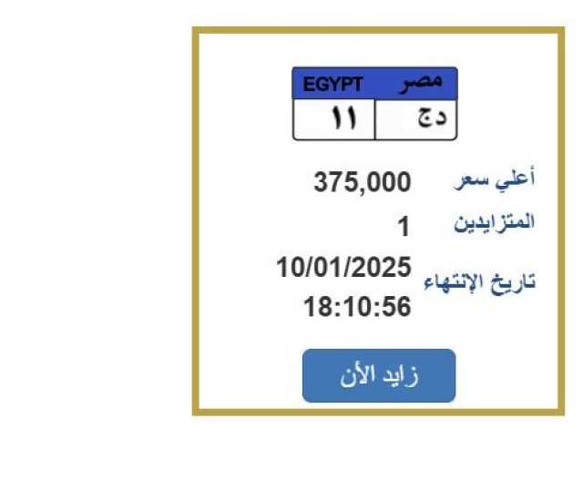 سعرها وصل 375 ألف جنيه.. خطوات التزايد على لوحة سيارة مميزة (رابط)