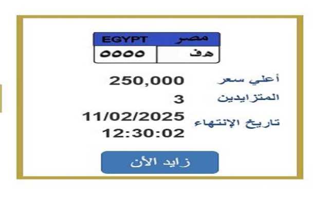 ربع مليون جنيه.. «المرور» تطرح التزايد على لوحة سيارة مميزة