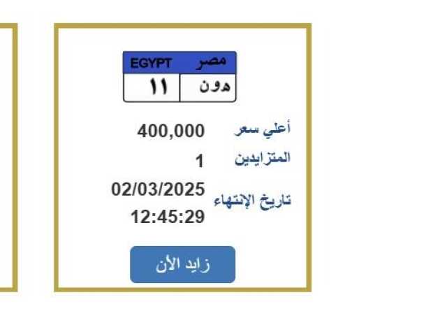 بـ 400 ألف جنيه.. لوحة سيارات مميزة تحمل حروف «ه و ن 11»