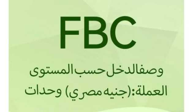 منصة FBC.. مستريح إلكتروني جديد ينصب على المستثمرين