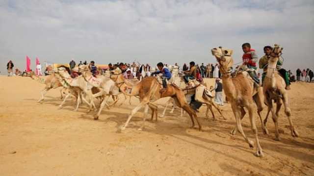 محافظ الإسماعيلية يتابع الاستعدادات النهائية لمهرجان الهجن في دورته العشرين