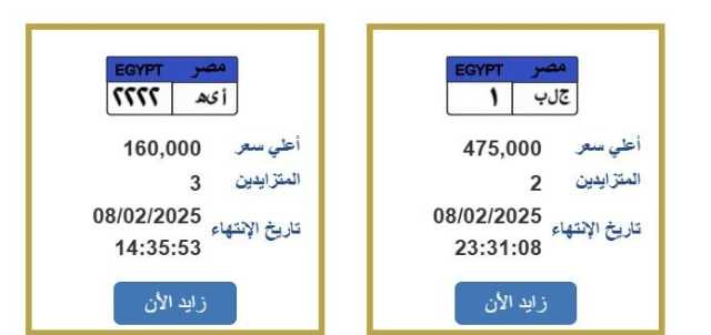 «ج.ل.ب ـ 1».. المرور تطرح لوحة سيارة بنصف مليون جنيه