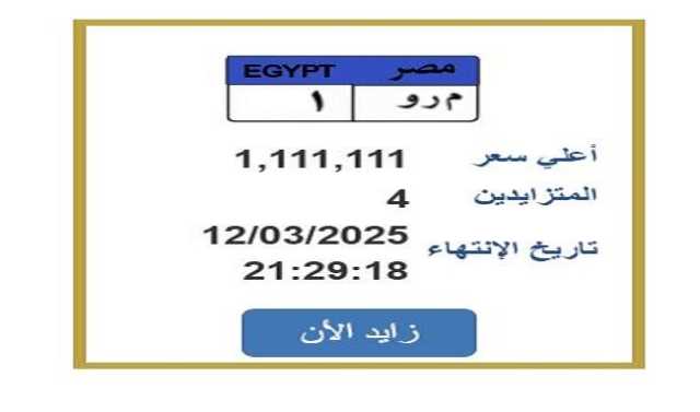 سعرها تخطى المليون جنيه.. التزايد يشتعل على لوحة سيارة مميزة «اعرف الخطوات»