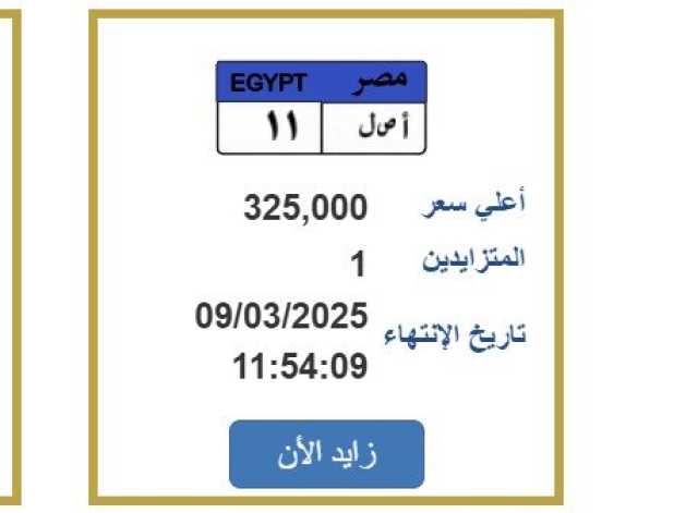 وصلت لـ 325 ألف جنيه.. لوحة معدنية مميزة يشتعل التزايد عليها