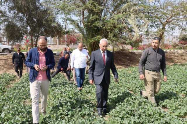 جامعة المنيا تطلق مشروع الصوب الزراعية: محاصيل وفيرة وتقنيات حديثة