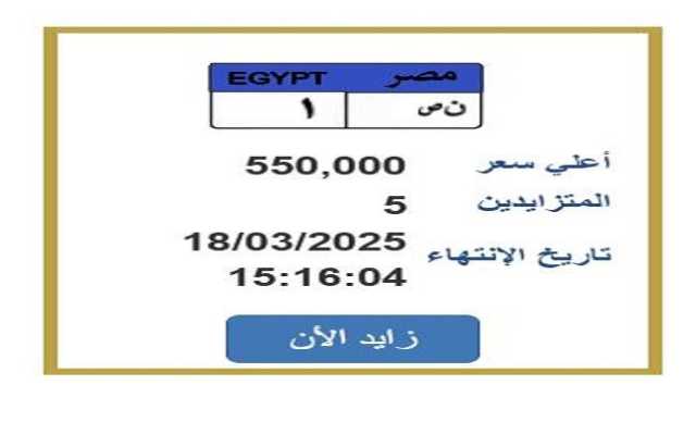 رقمها «ن ص 1».. التزايد على لوحة سيارة مميزة ينتهي غدًا